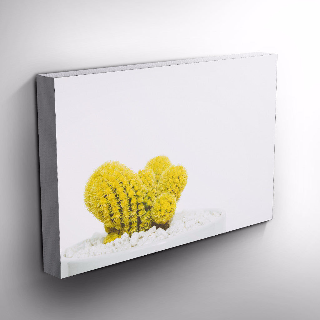 Canvas print wall art - Cactus Flower Plant